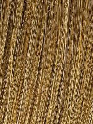 Color R1416T = Buttered Toast: Dark, ash blonde with golden blonde tips