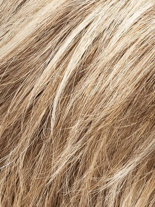 BEIGE MULTI MIX 14.24.12 | Dark ash blonde blended with light blonde and light brown
